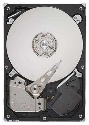   Seagate SATA-II 250Gb ST3250318AS (7200rpm) 8Mb