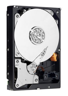   WD SATA-II 1Tb WD10EURS (5400rpm) 64Mb AV